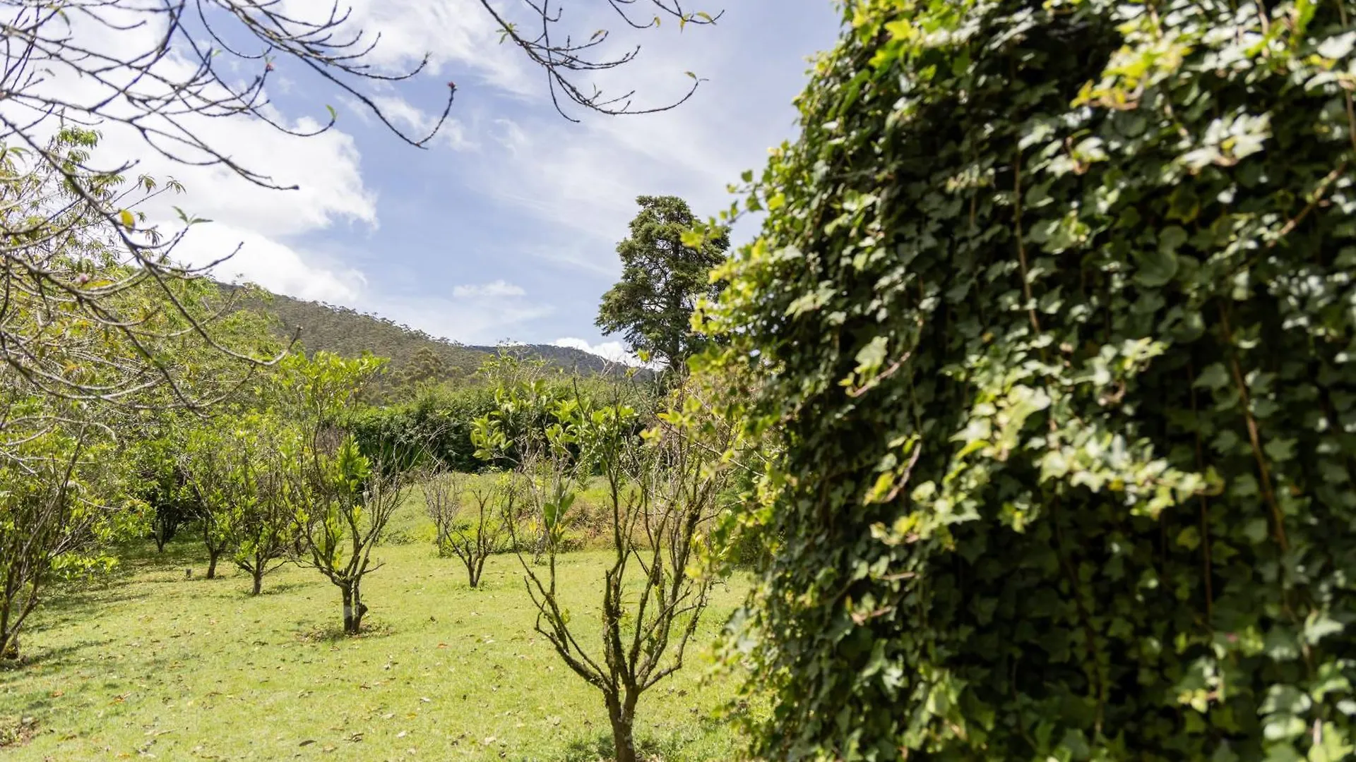 Ferncliff Bungalow Nuwara Eliya 4*,